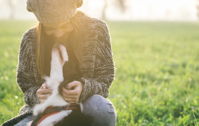 alimento per cani