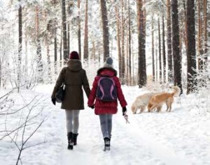 la passeggiata del cane