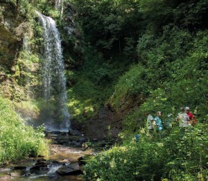 Carinzia