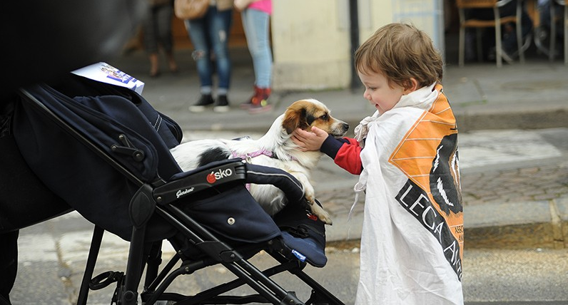 Salvano gli animali
