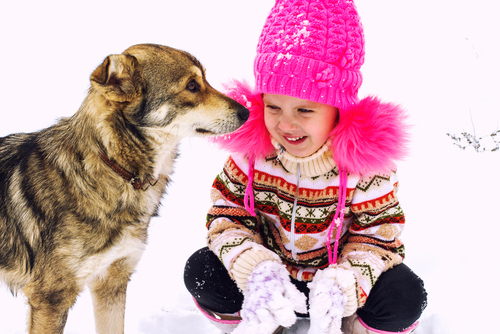 cosa evitare quando si gioca con il cane