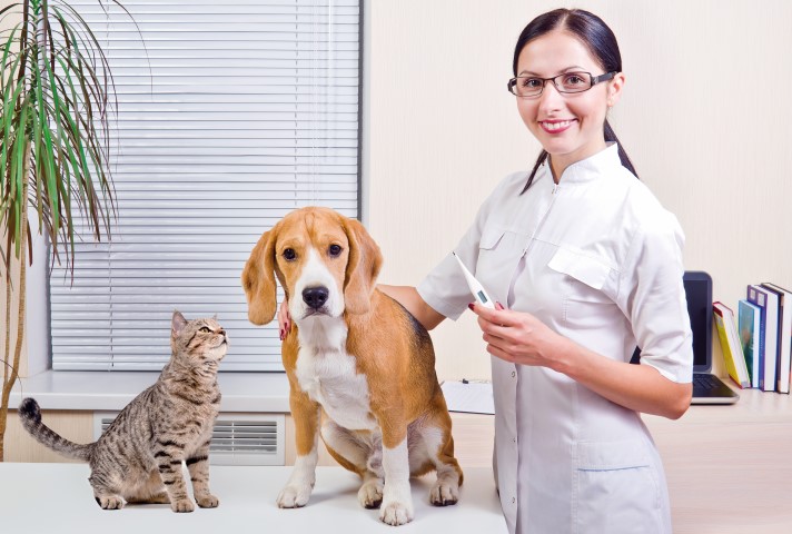 Farmaci veterinari
