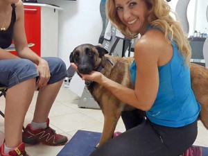 Osteopatia per cani