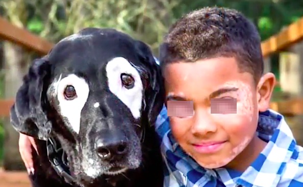 Bambino amico di un cane