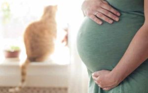 Toxoplasmosi incinta: che pericolo c'è?
