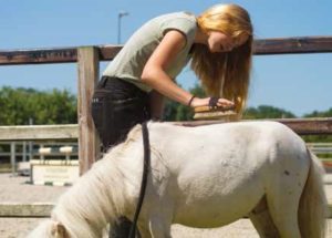 associazioni animaliste