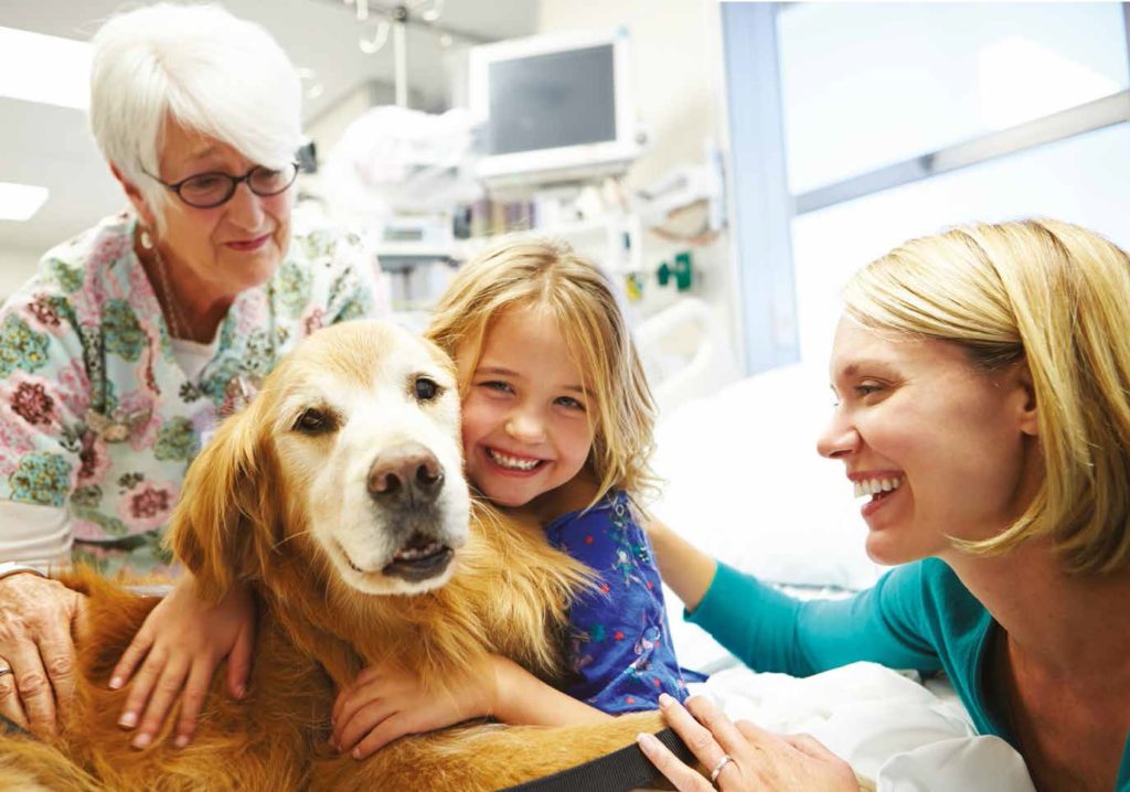 cane in ospedale