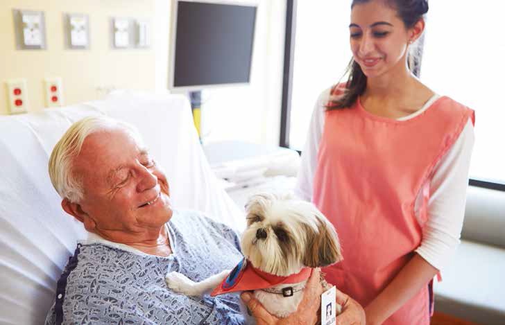 cane in ospedale