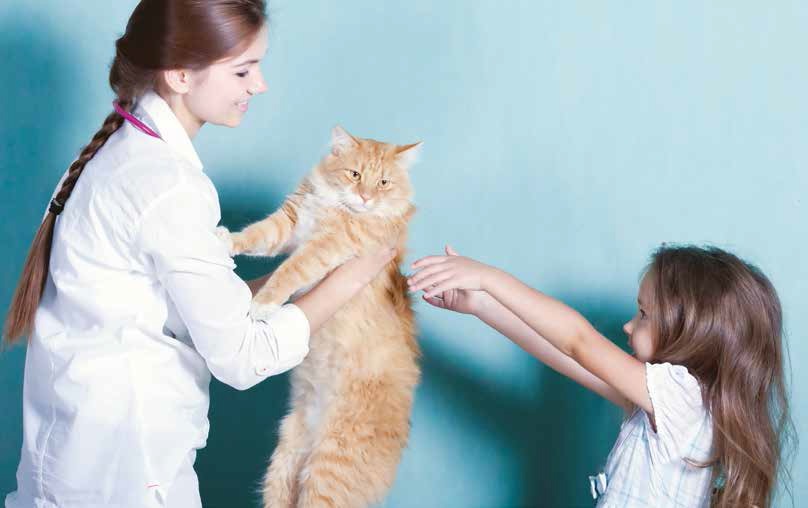 Cane in ospedale, ma non solo: l’Italia si sveglia!