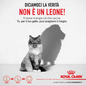 alimentazione sana cani gatti