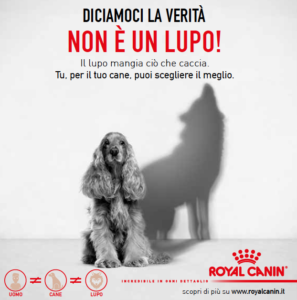 alimentazione sana cani gatti