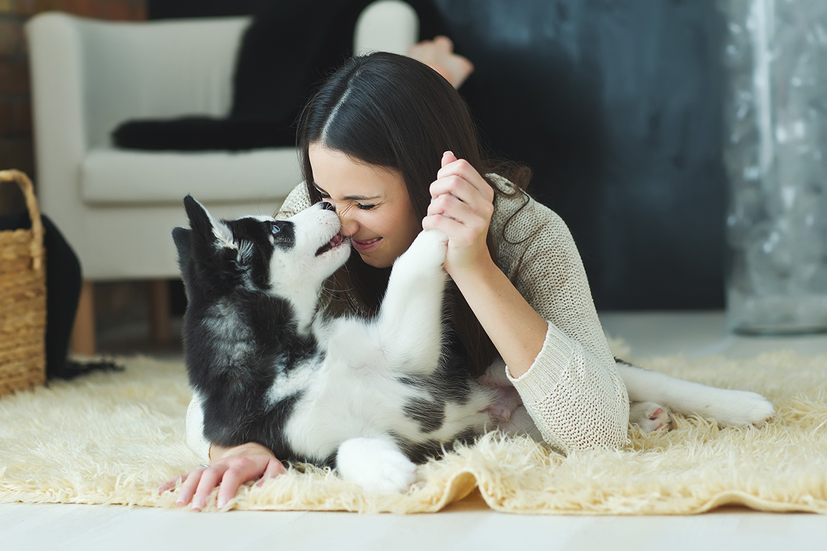 linguaggio dei cani