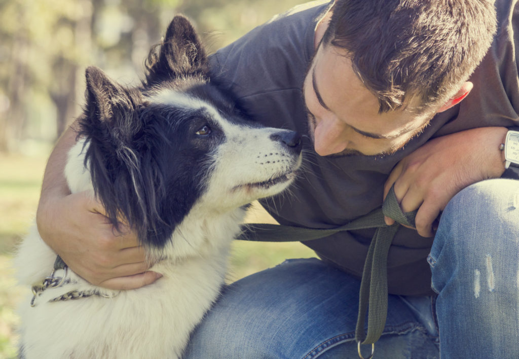 linguaggio dei cani