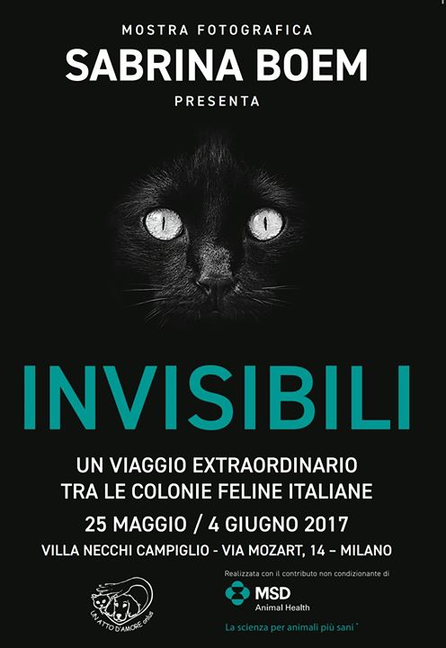 Invisibili, la mostra fotografica milanese sui felini