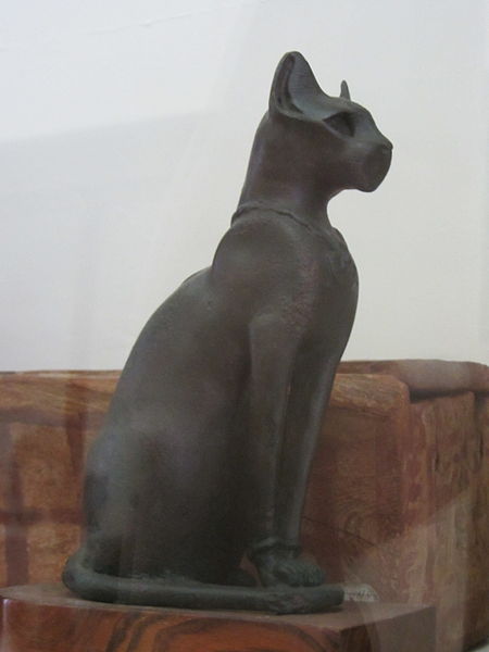 mummie gatto napoli