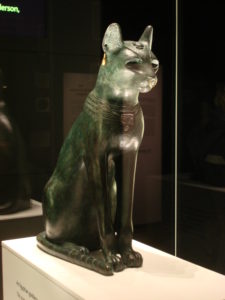 mummie gatto napoli