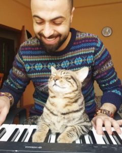 gatto al pianoforte