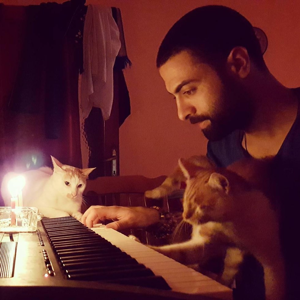 pianista turco salva 9 gatti