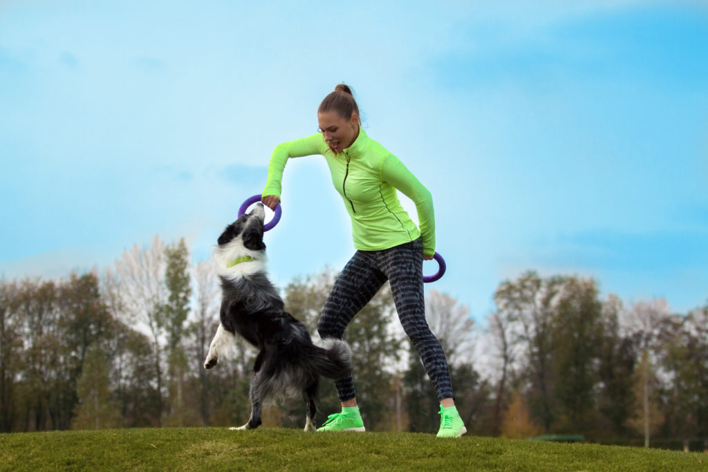 puller gioco cani fortesan