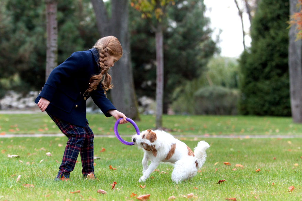 puller gioco cani fortesan