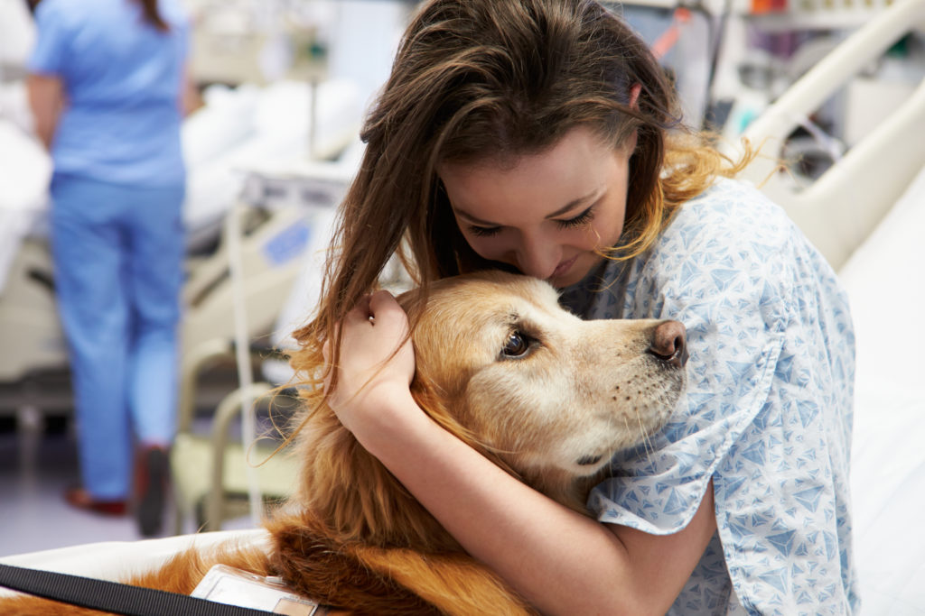 ti dono un sorriso pet therapy