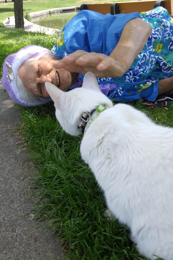 gatto e signora