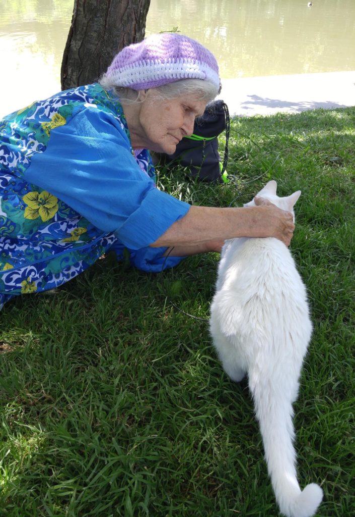 nonna e gatto darwin