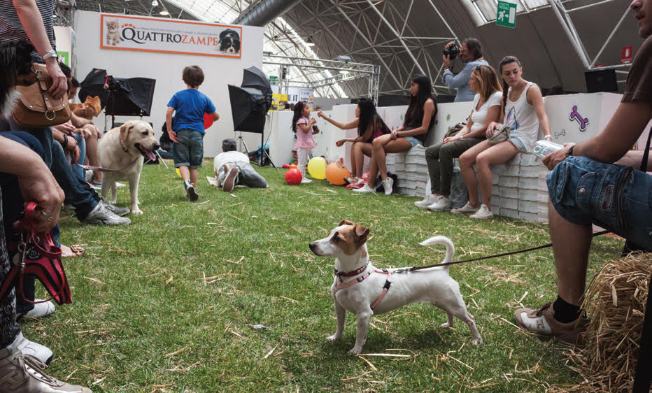 QuattroZampeinFiera Milano 2017: Casting fotografico per cani e gatti