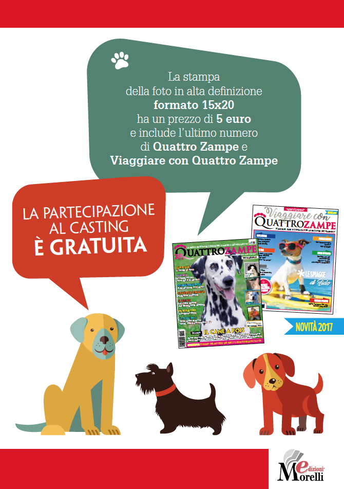 QuattroZampeinFiera Milano 2017: Casting fotografico per cani e gatti