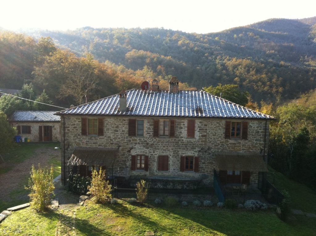 agriturismo per animali cucciolo