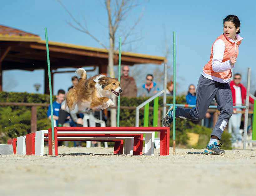 campionato agility