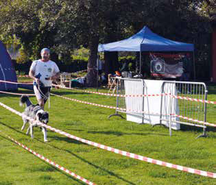 dog endurance