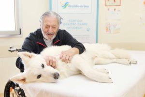 Confido pet therapy