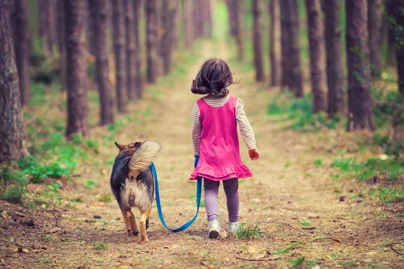 rapporto bambini animali