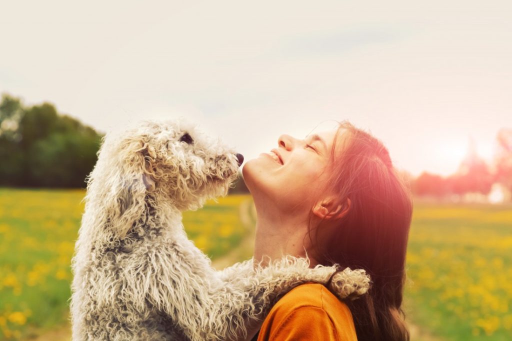 Estate al sicuro dai parassiti per cani e gatti