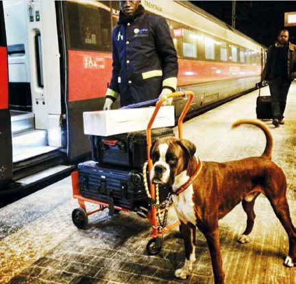 Trenitalia e i viaggi con il cane: la storia dei Andrea e Bruce