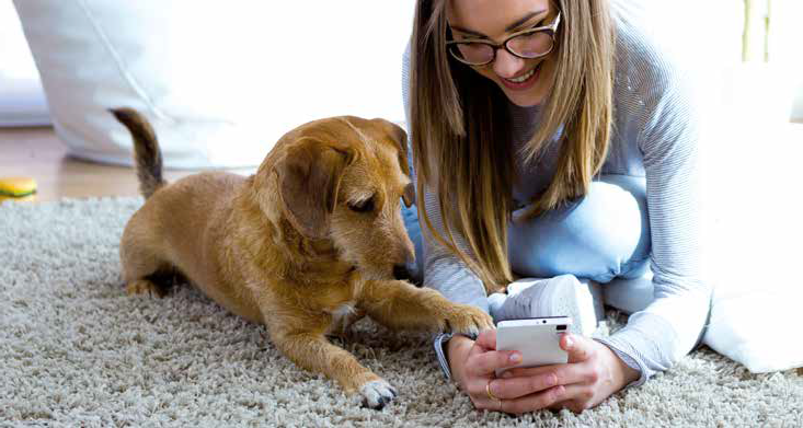 app mobile animali domestici