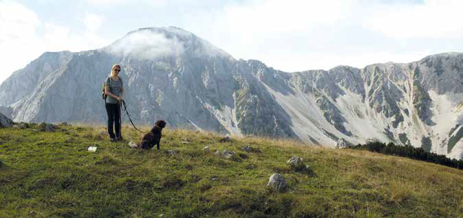 carinzia viaggio cane