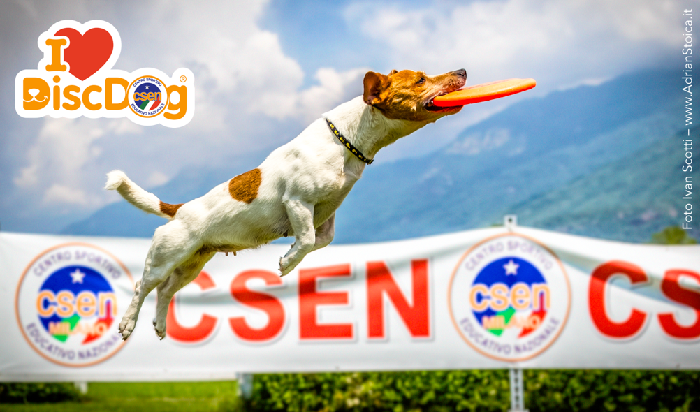 DISC DOG mania! Istanti di magia in volo, dalle tappe italiane di qualifica ai MONDIALI 2017