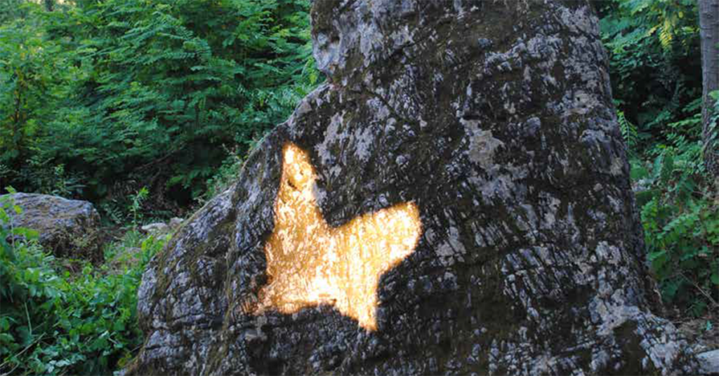farfalla di luce