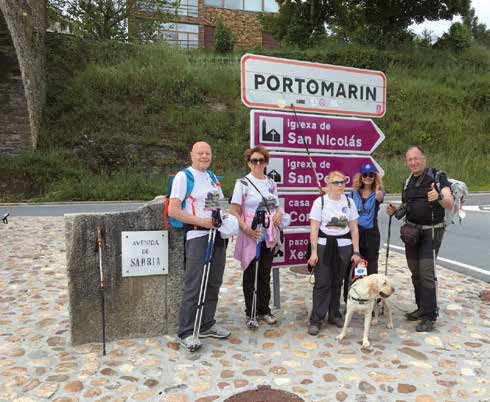 cammino di santiago con un cane