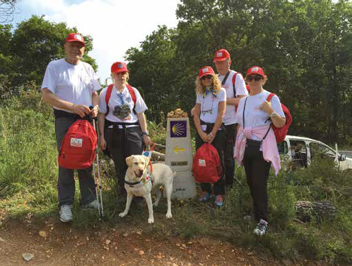 cammino di santiago con un cane