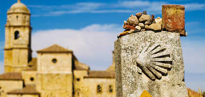 cammino di santiago con un cane