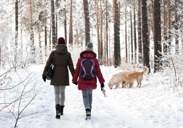 passeggiata con il cane