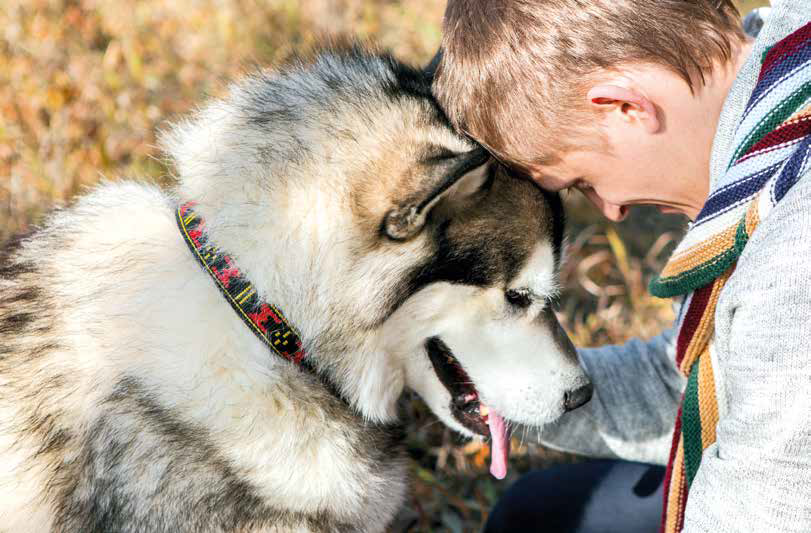 passeggiata con il cane