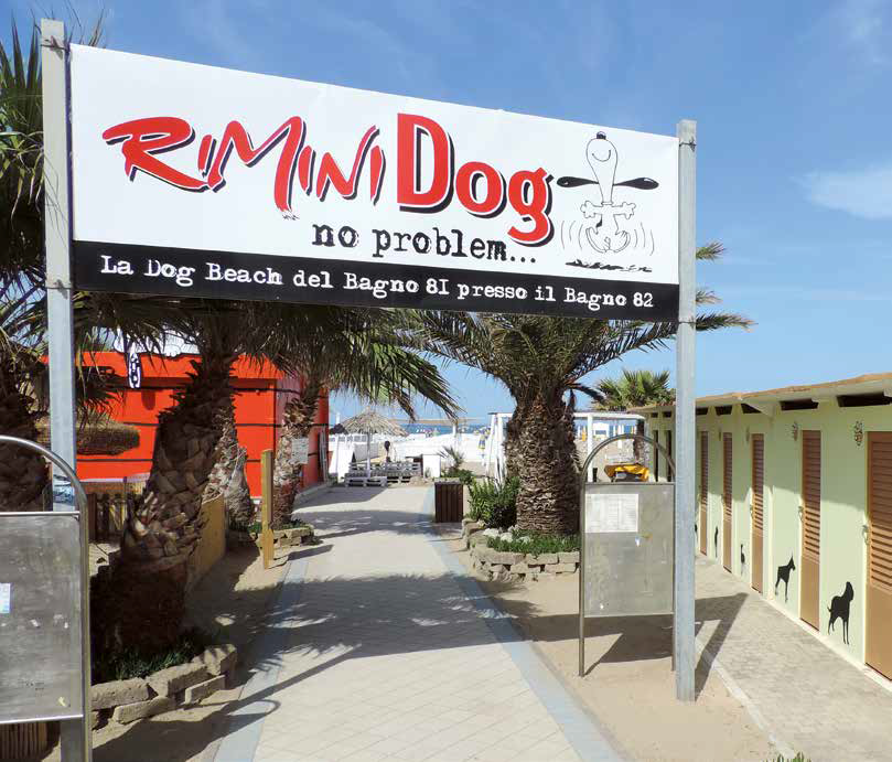 rimini pet friendly