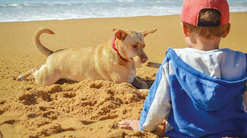 spiagge cane italia