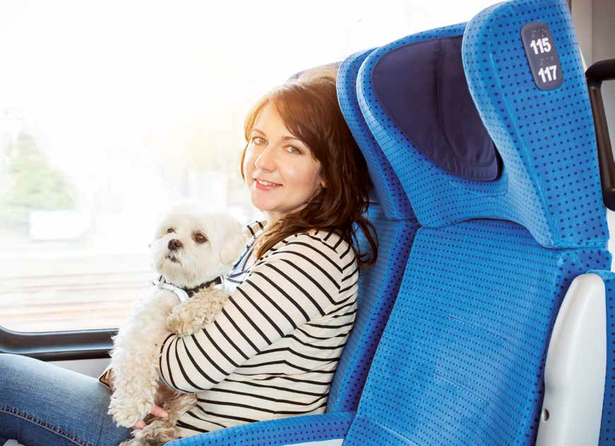 viaggiare cane gatto