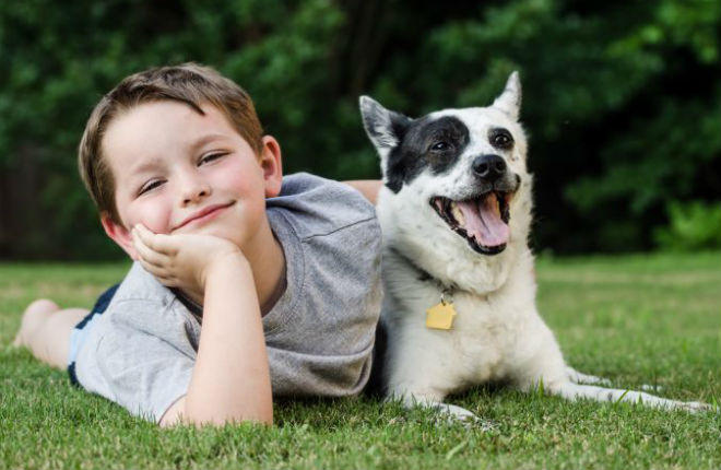 piccoli e pet