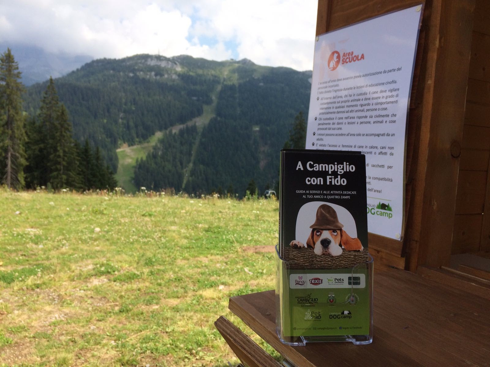 dog camp madonna di campiglio